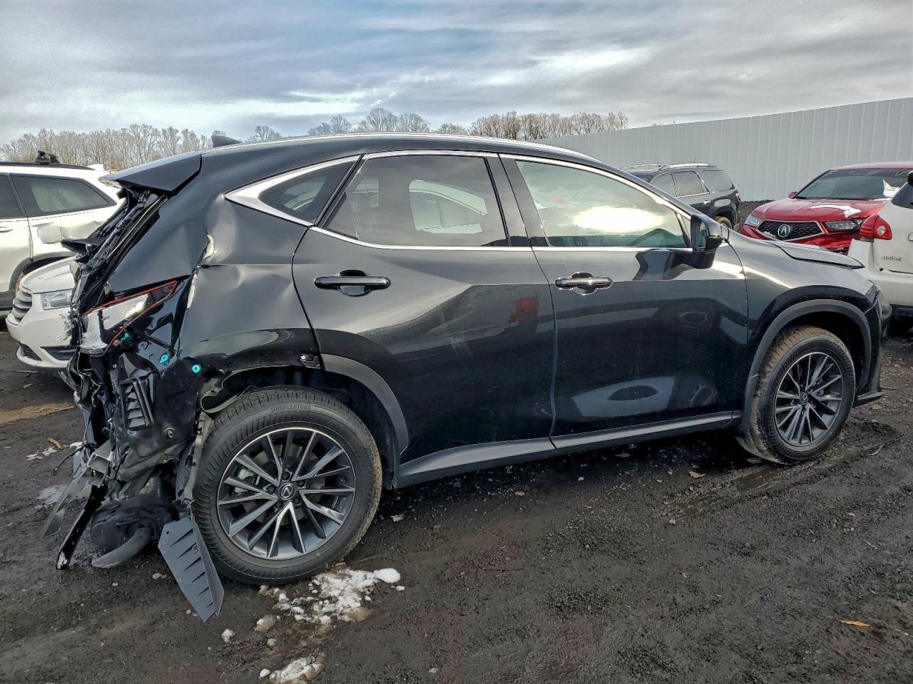 2025 Lexus Nx 350 Premium - Фото 3