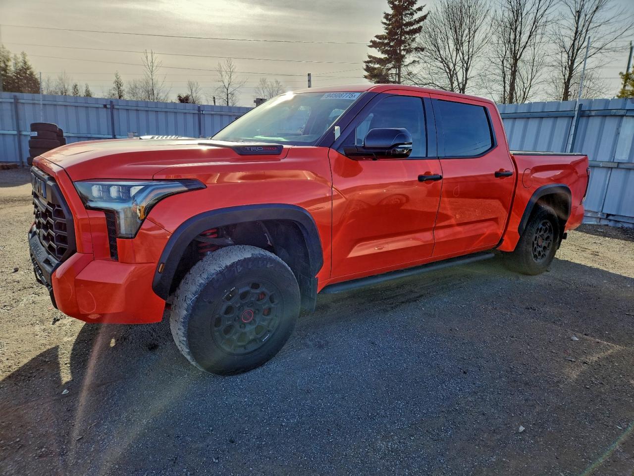 2023 Toyota Tundra Trd Pro