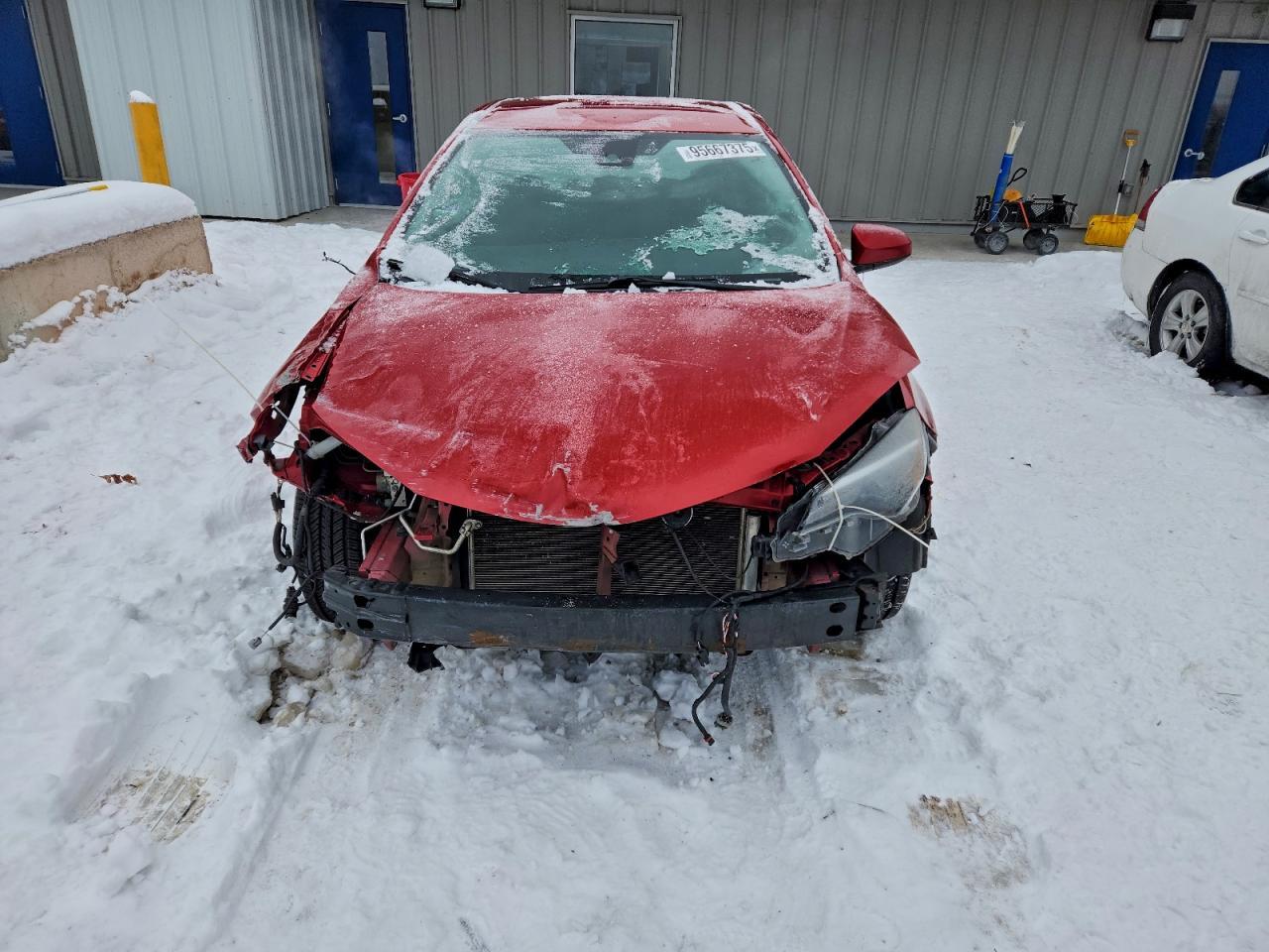 2019 Toyota Corolla L - Фото 5