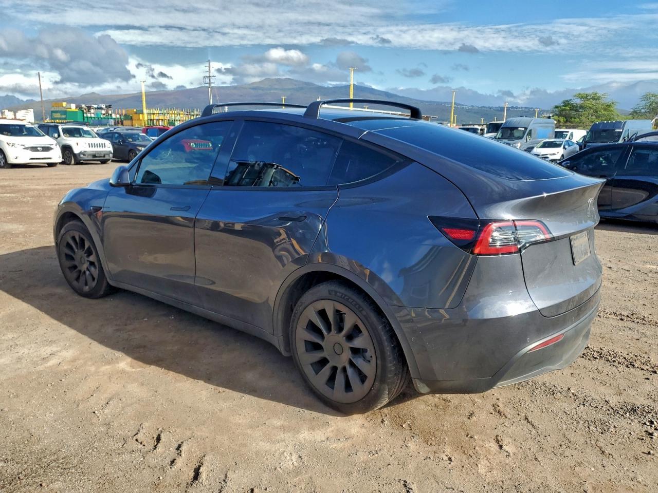 2021 Tesla Model Y - Фото 2