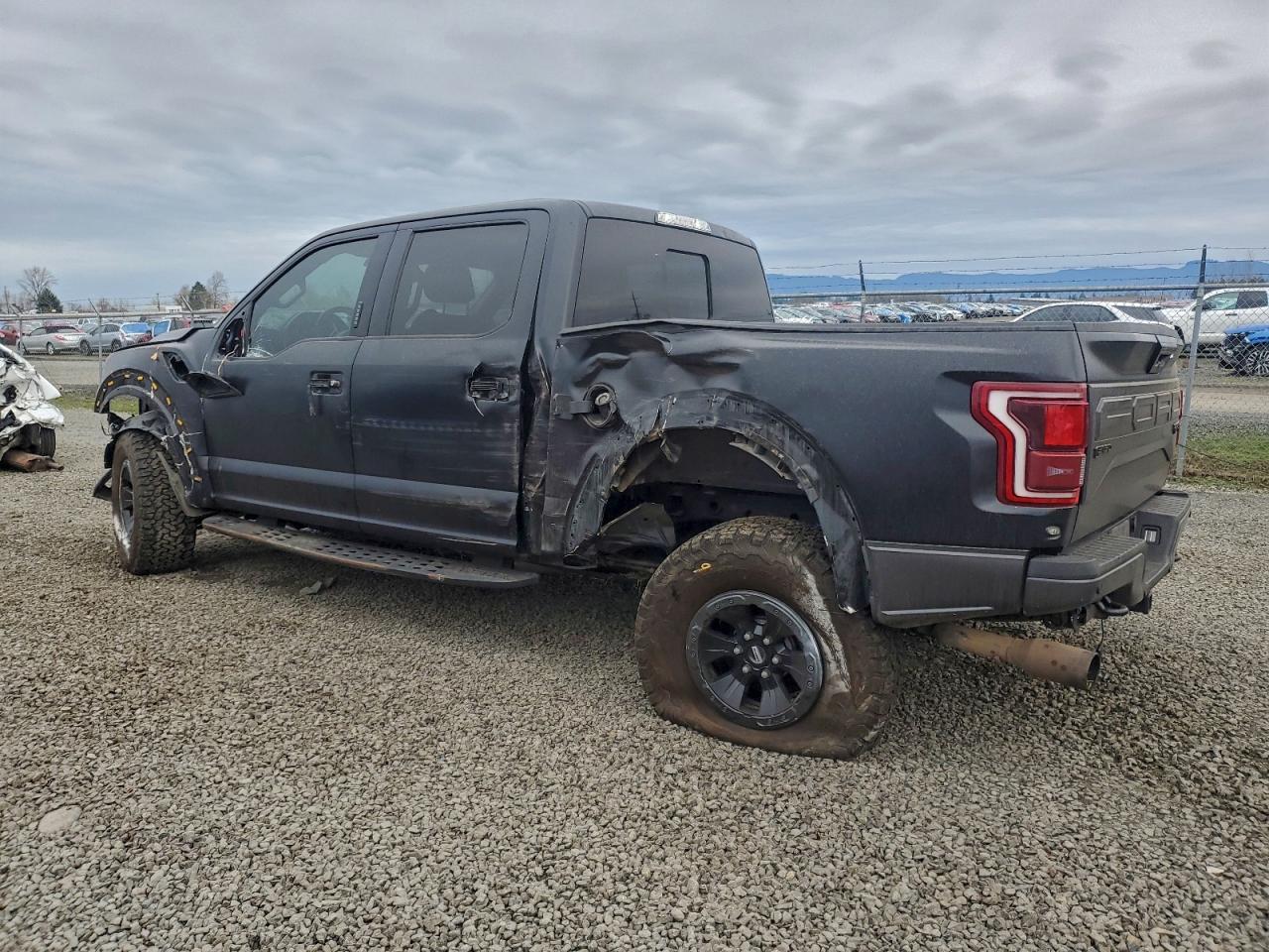 2017 Ford F150 Raptor - Image 2