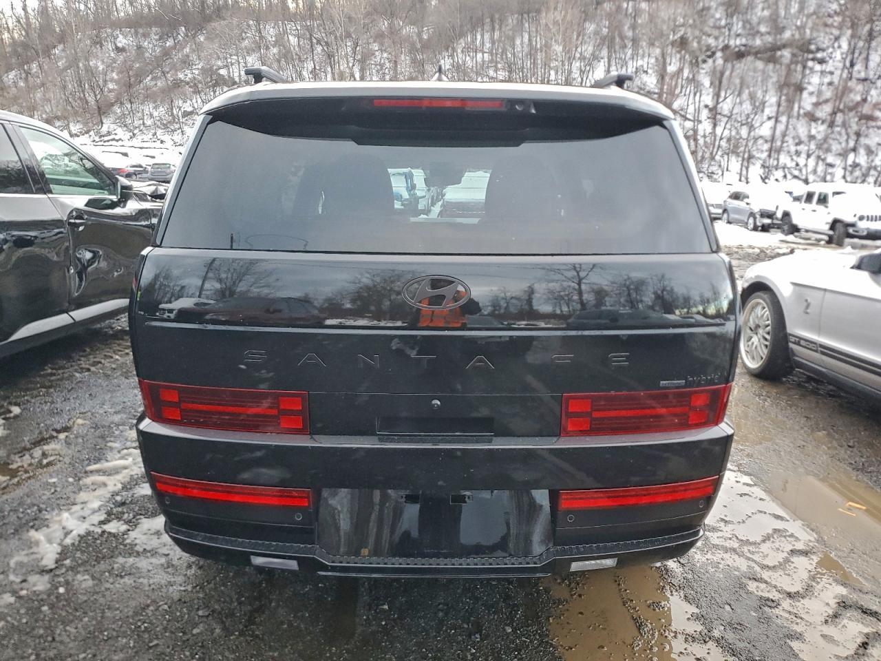 2025 Hyundai Santa Fe Calligraphy - Фото 6