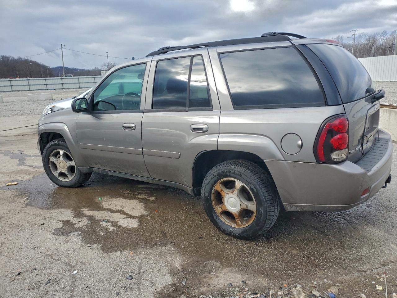 2008 Chevrolet Trailblazer Ls - Фото 2
