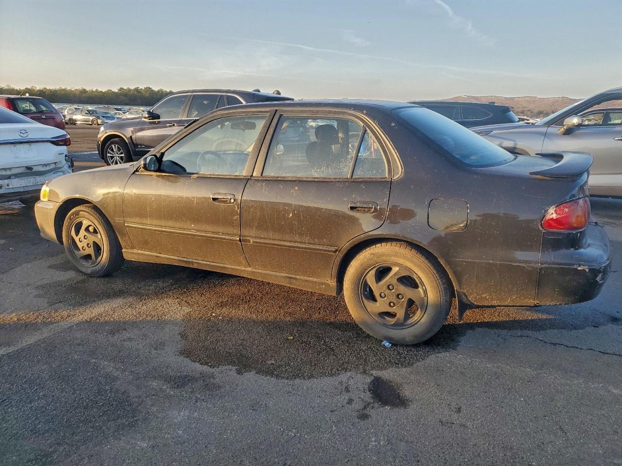 2001 Toyota Corolla - Фото 2