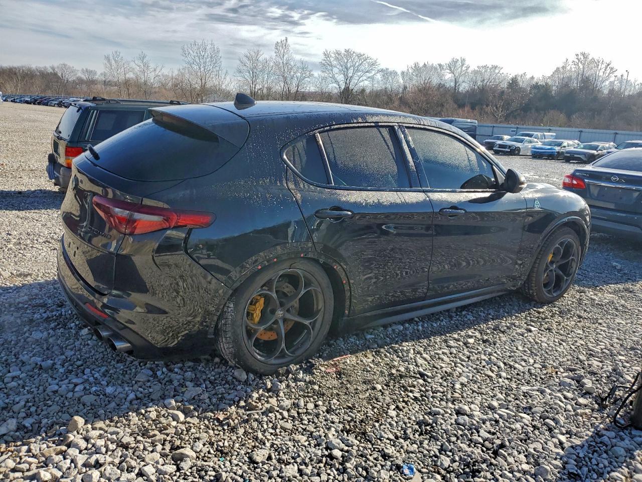 2018 Alfa Romeo Stelvio Quadrifoglio - Image 3