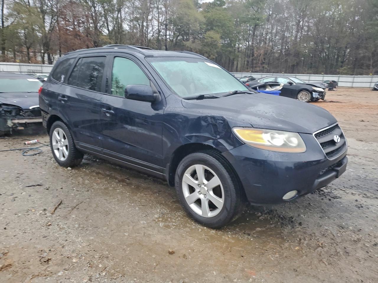 2007 Hyundai Santa Fe Se - Фото 4