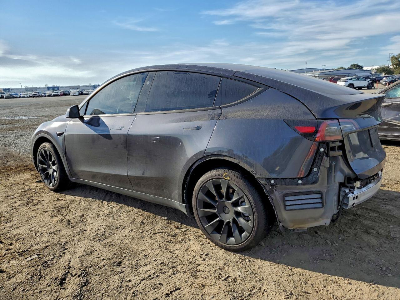 2024 Tesla Model Y - Фото 2