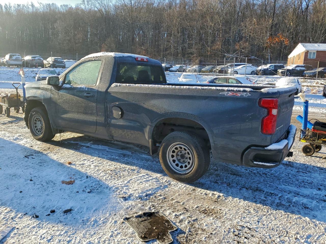 2020 Chevrolet Silverado K1500 - Фото 2