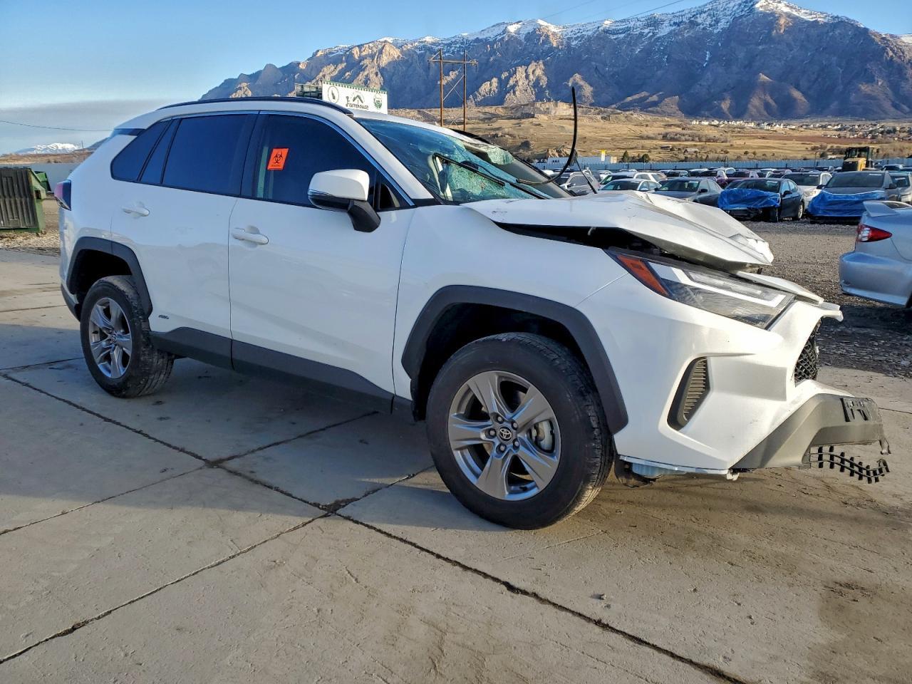 2024 Toyota Rav4 Xle - Image 4