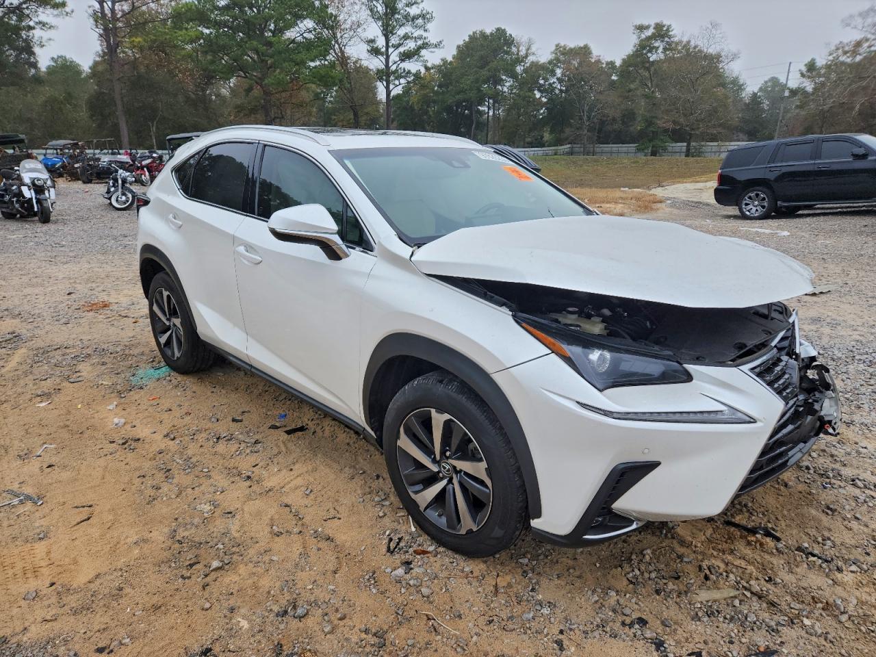 2018 Lexus Nx 300 Base - Фото 4