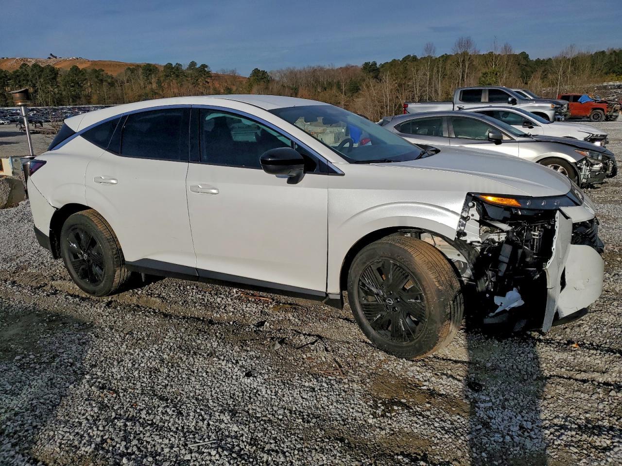 2025 Nissan Murano Sv - Image 4