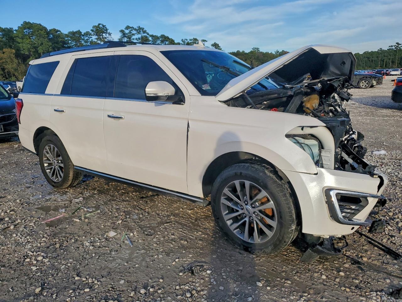 2018 Ford Expedition Limited - Фото 4