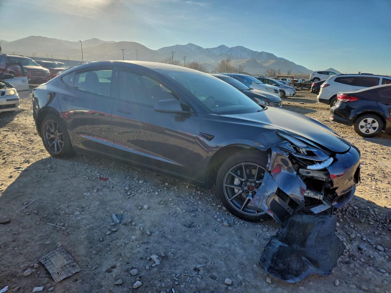 2021 Tesla Model 3 - Фото 4