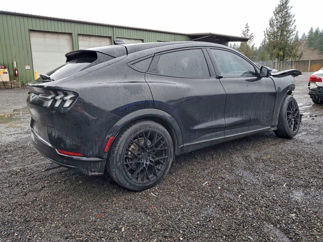 2021 Ford Mustang Mach-E Premium - Фото 3