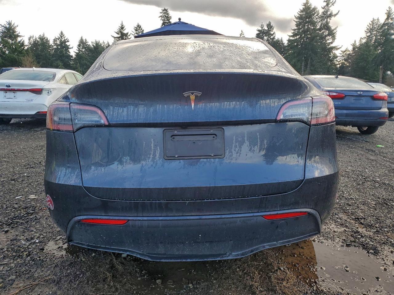 2024 Tesla Model Y - Фото 6