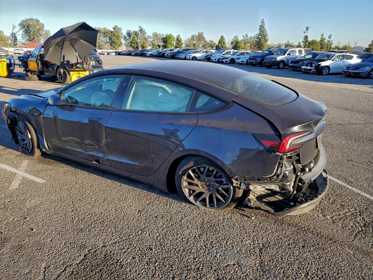 2025 Tesla Model 3 - Фото 2