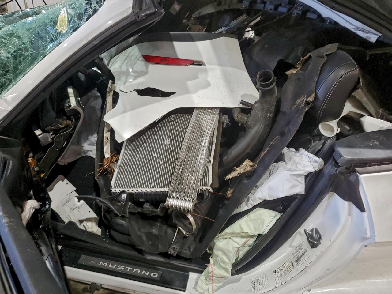 2019 Ford Mustang - Image 7