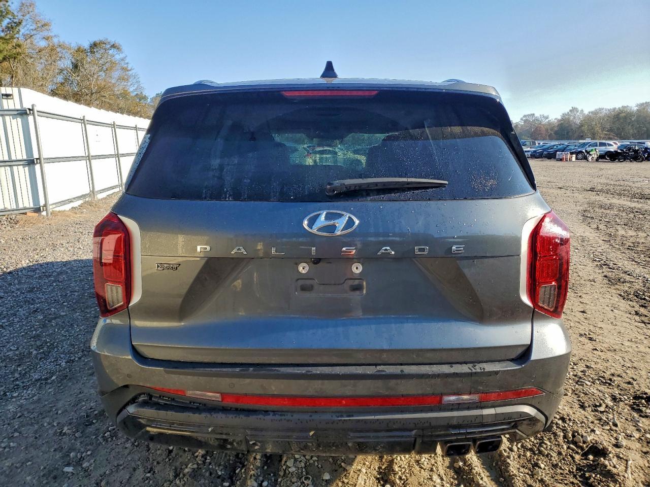 2024 Hyundai Palisade Xrt - Фото 6