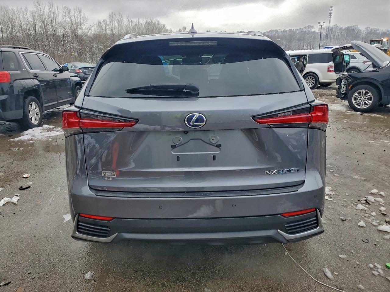2018 Lexus Nx 300H - Фото 6