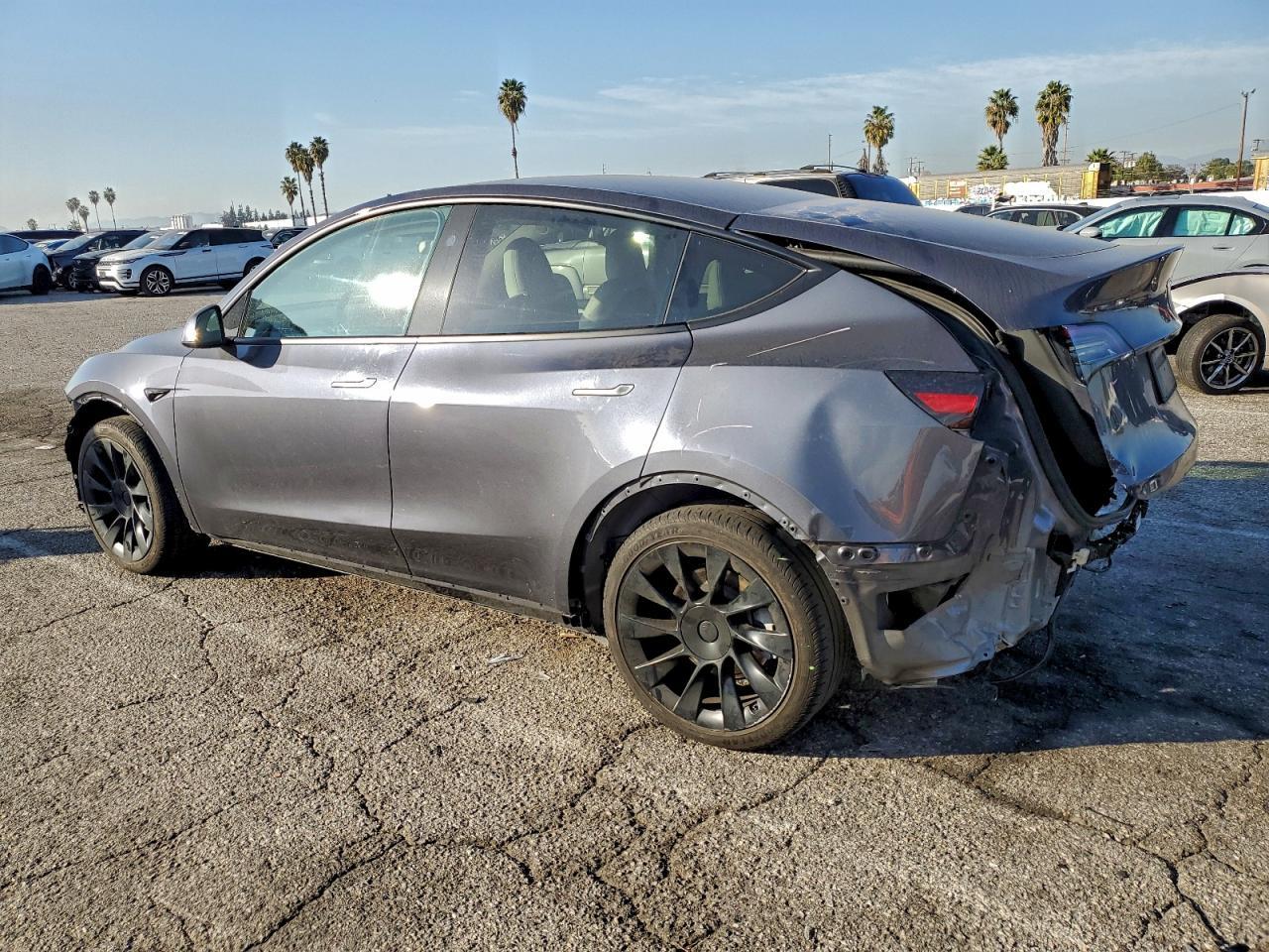 2023 Tesla Model Y - Фото 2