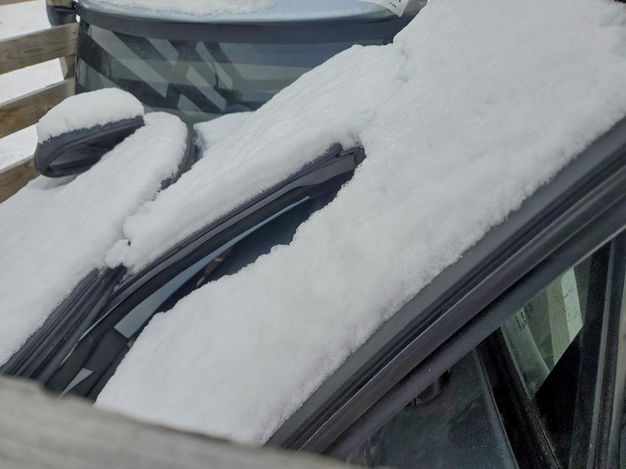 2023 Toyota Corolla Cross L - Image 4