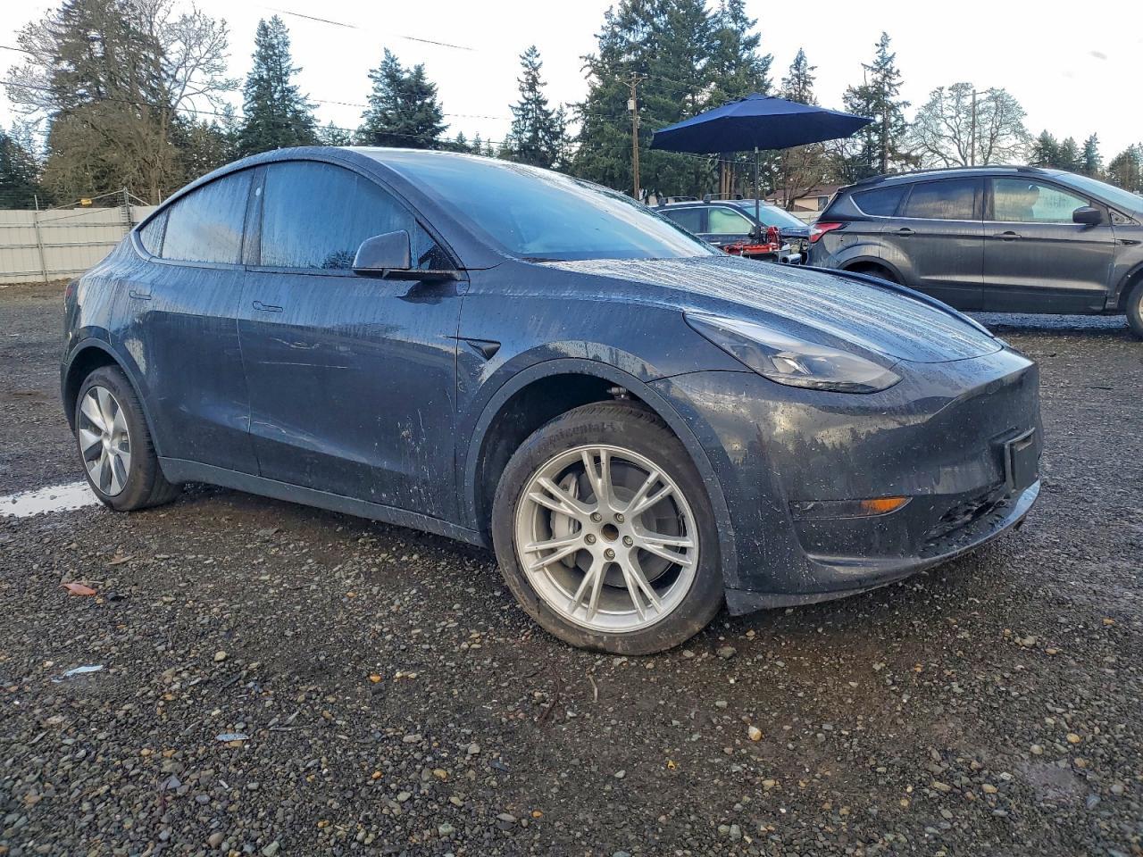 2024 Tesla Model Y - Фото 4