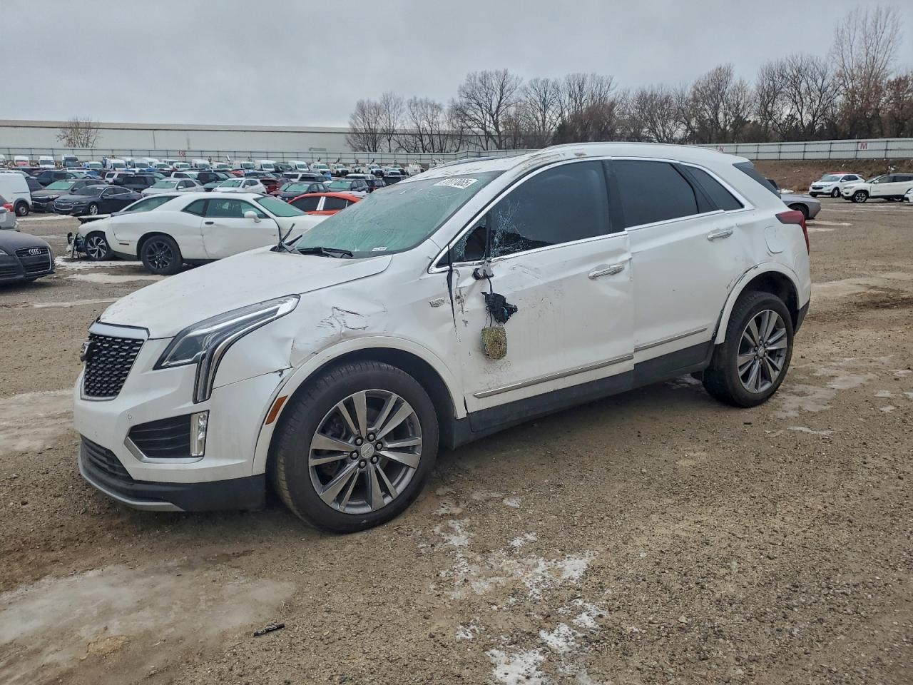 2024 Cadillac Xt5 Premium Luxury