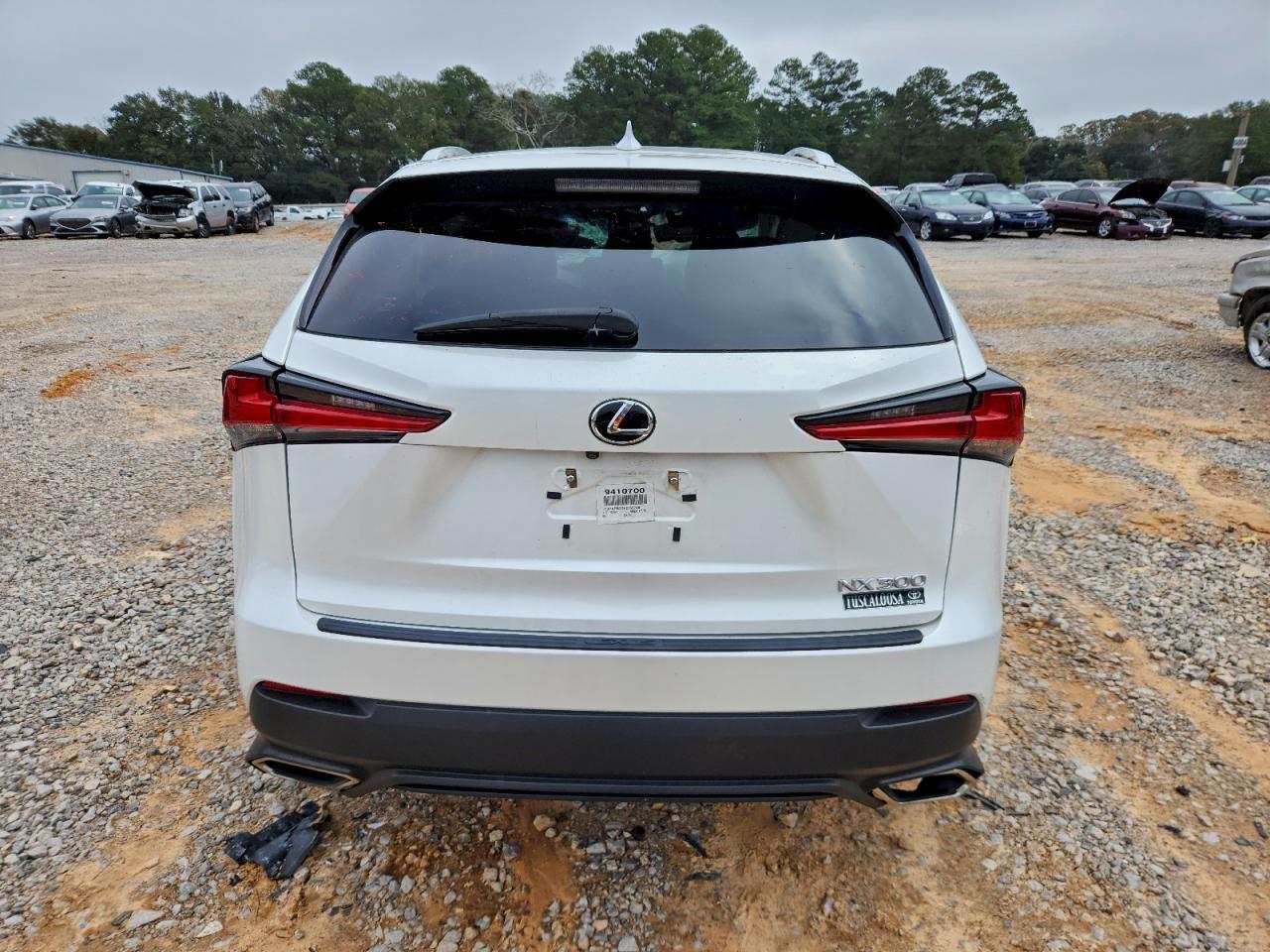 2019 Lexus Nx 300 Base - Фото 6