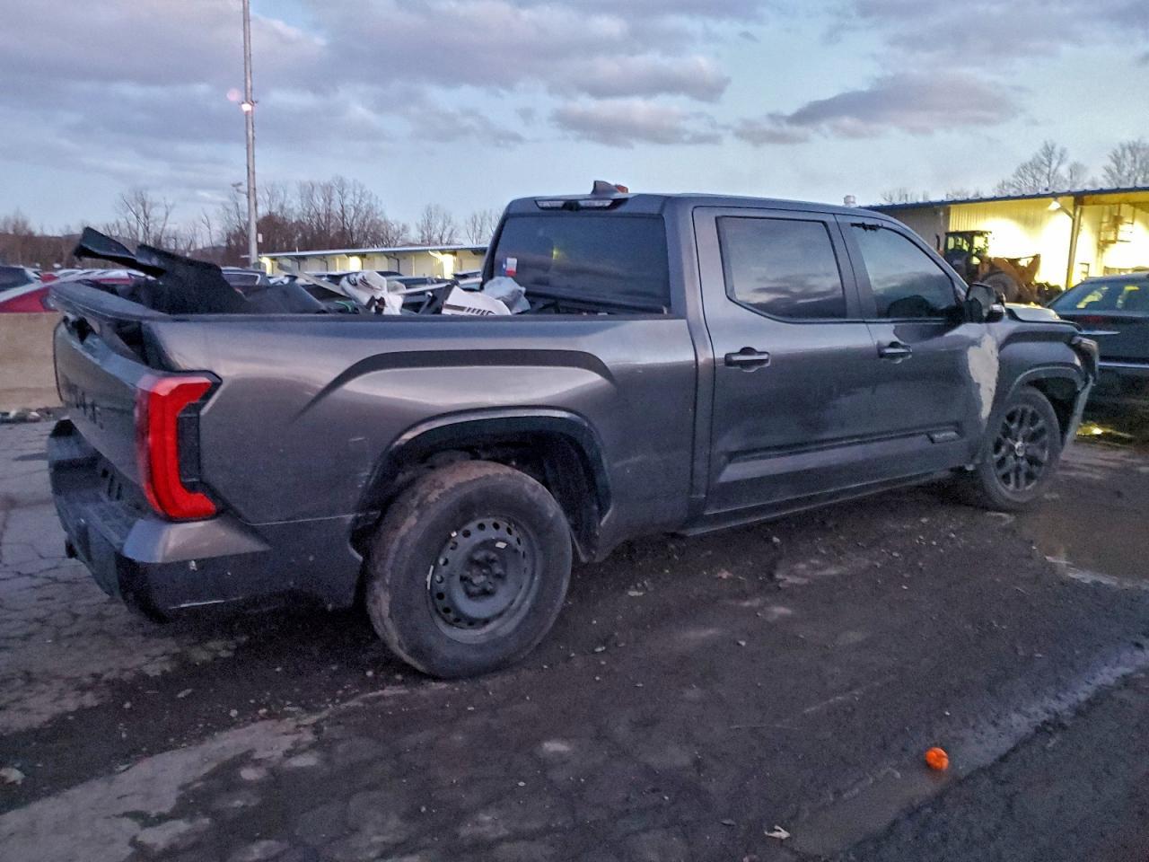 2024 Toyota Tundra Crewmax Platinum - Фото 3