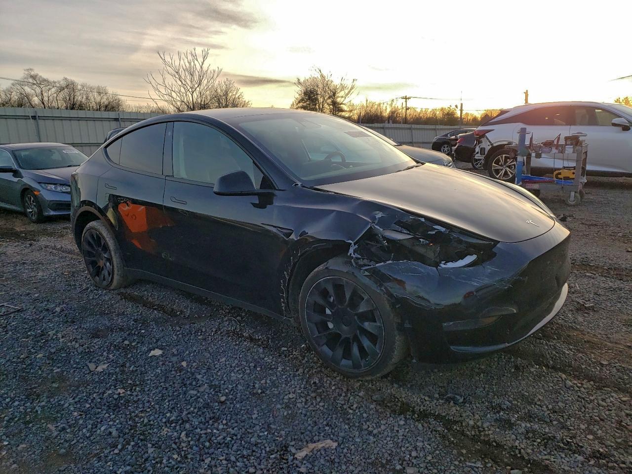 2023 Tesla Model Y - Фото 4