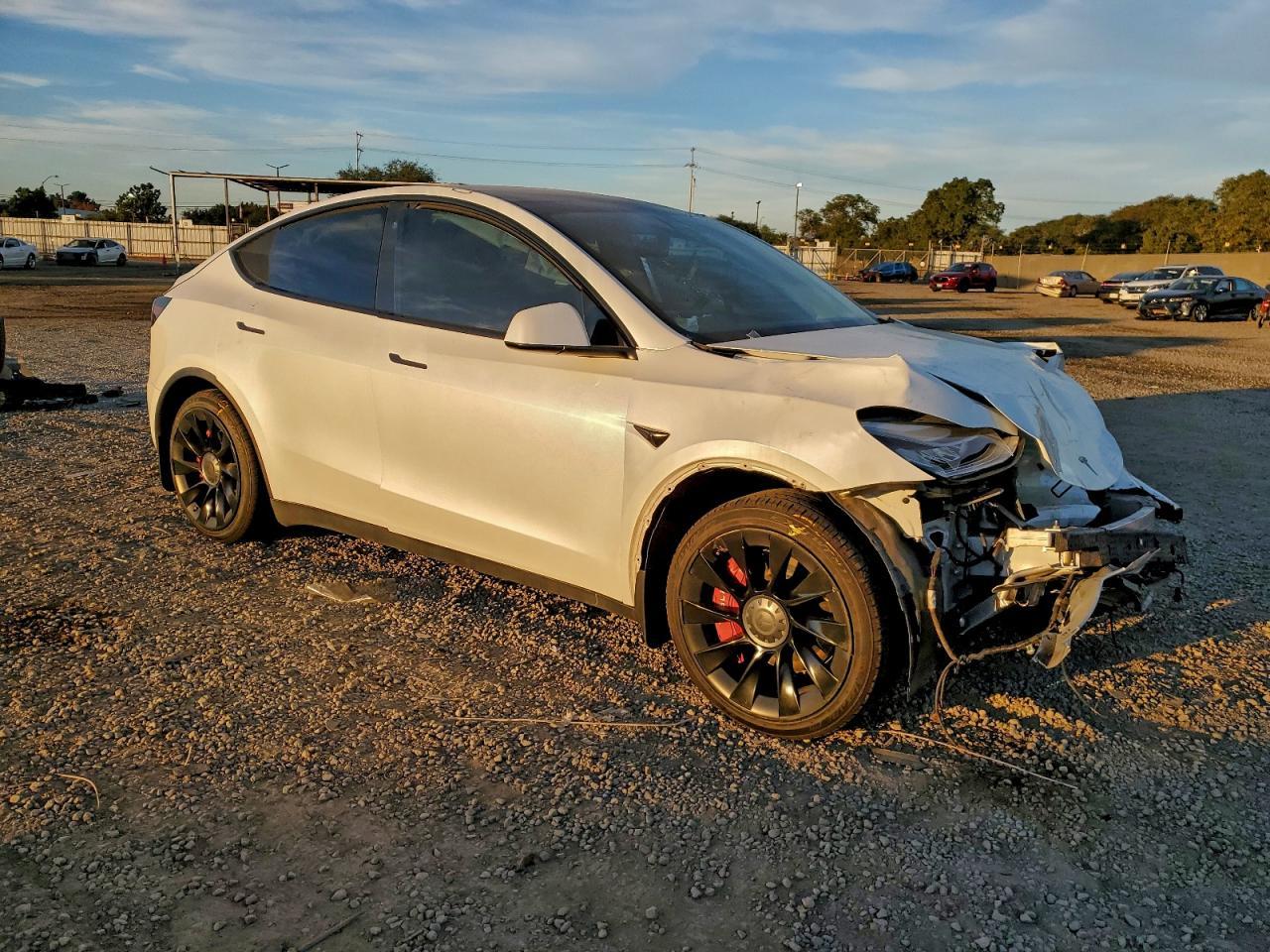 2021 Tesla Model Y - Фото 4
