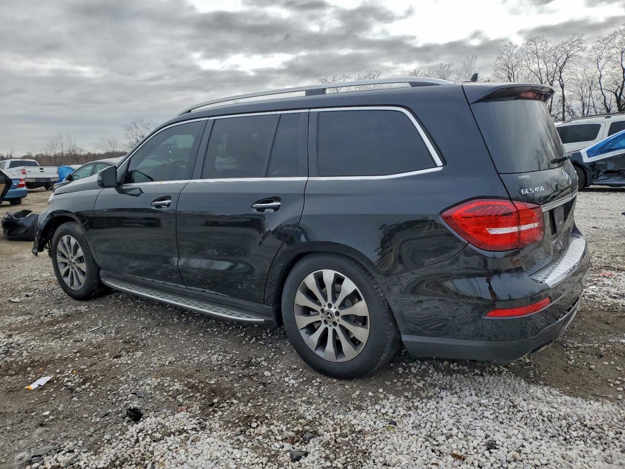 2019 Mercedes-Benz Gls 450 4Matic - Фото 2