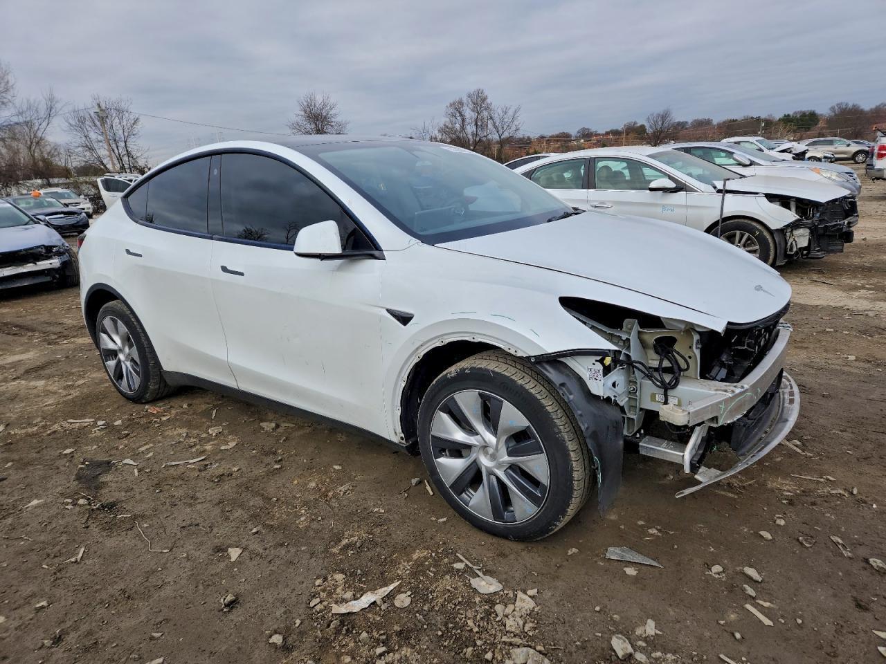2023 Tesla Model Y - Image 4