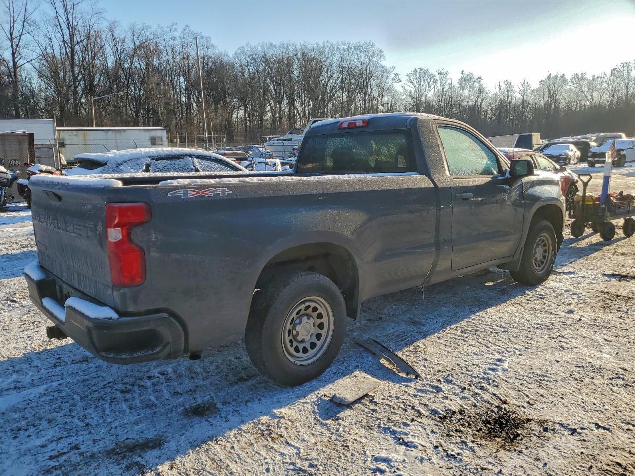 2020 Chevrolet Silverado K1500 - Фото 3