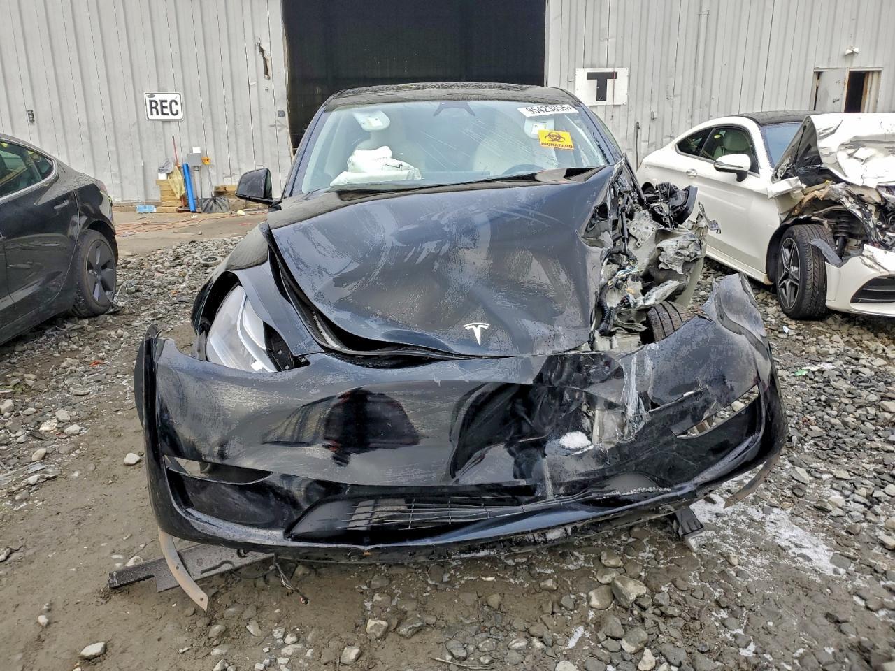 2024 Tesla Model Y - Фото 5