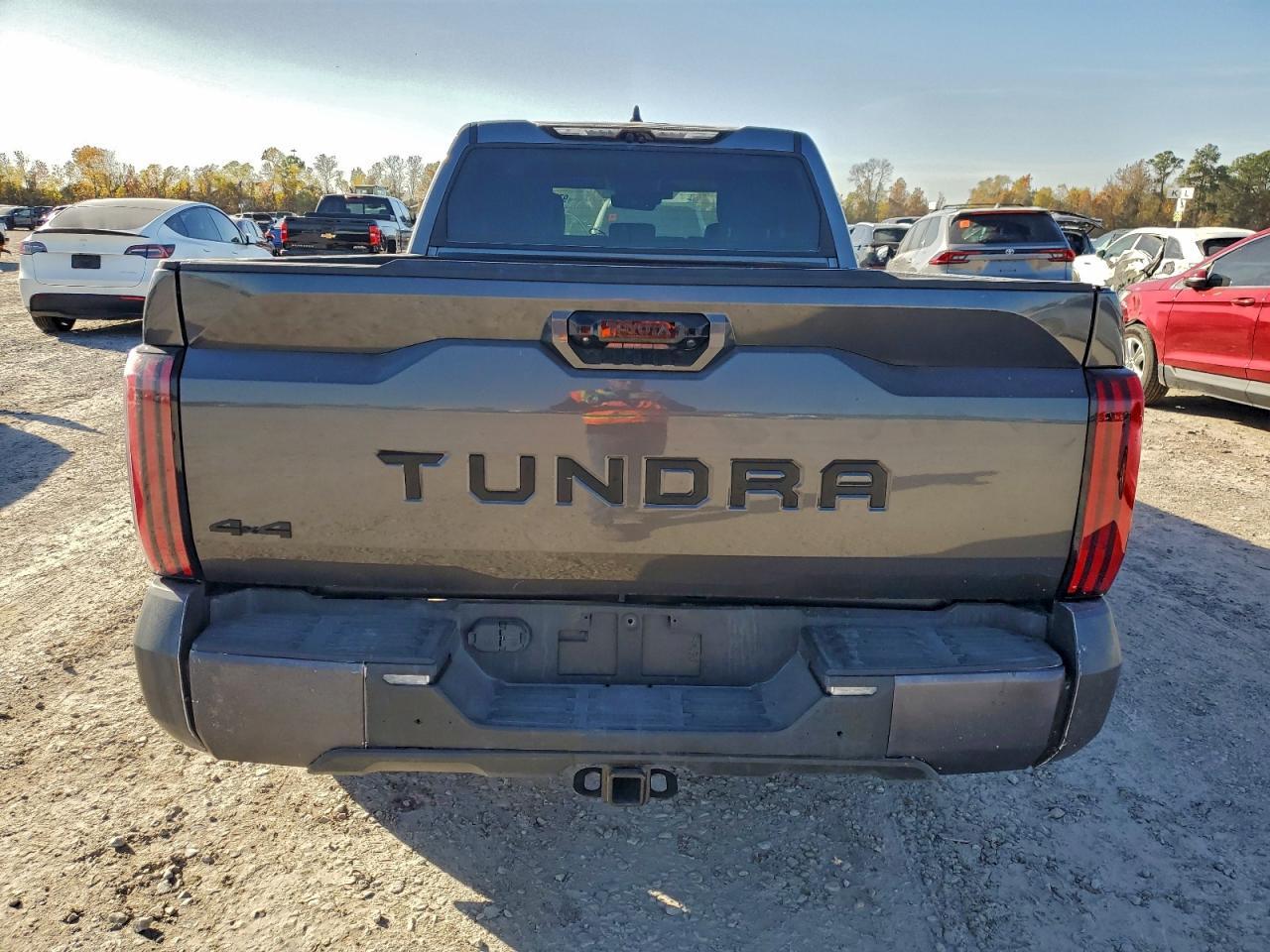2024 Toyota Tundra Crewmax Limited - Фото 6