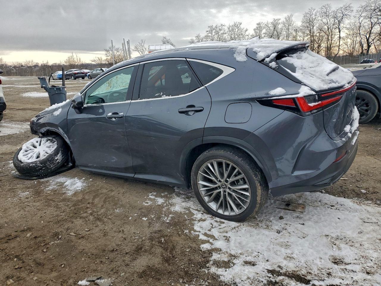2024 Lexus Nx 350 Luxury - Image 2