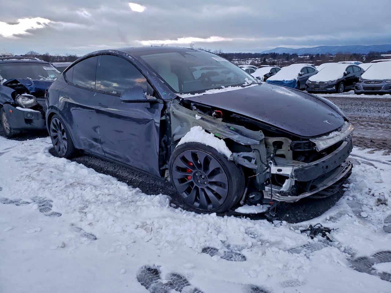 2023 Tesla Model Y - Фото 4