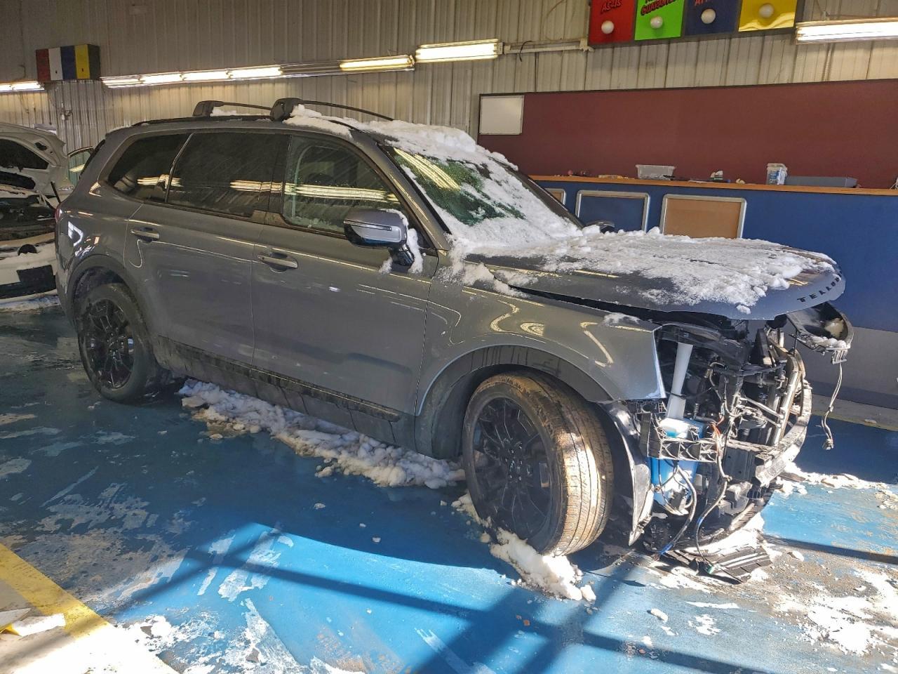 2022 Kia Telluride Sx - Фото 4
