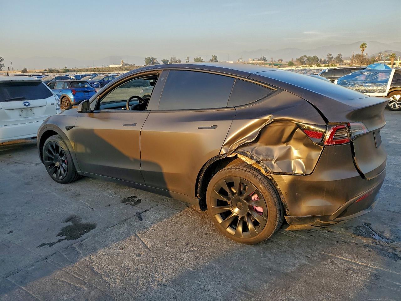 2022 Tesla Model Y - Фото 2