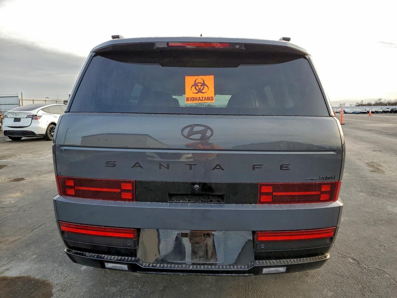 2025 Hyundai Santa Fe Hybrid Calligraphy - Фото 6
