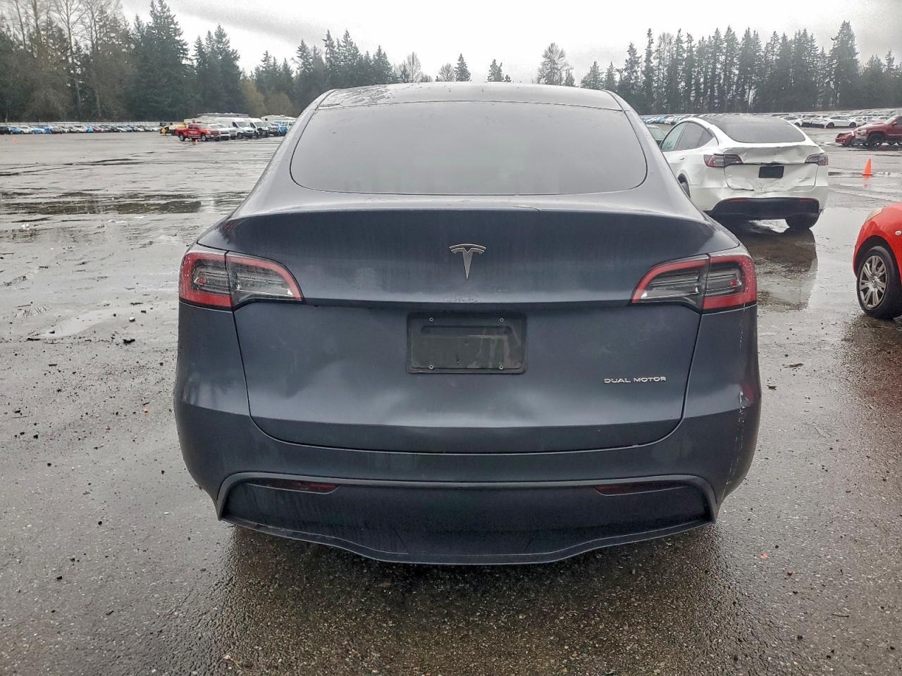 2023 Tesla Model Y - Фото 6