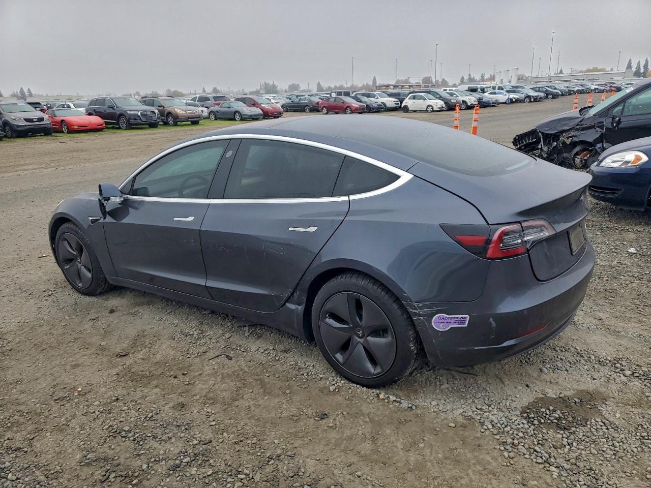 2019 Tesla Model 3 - Фото 2