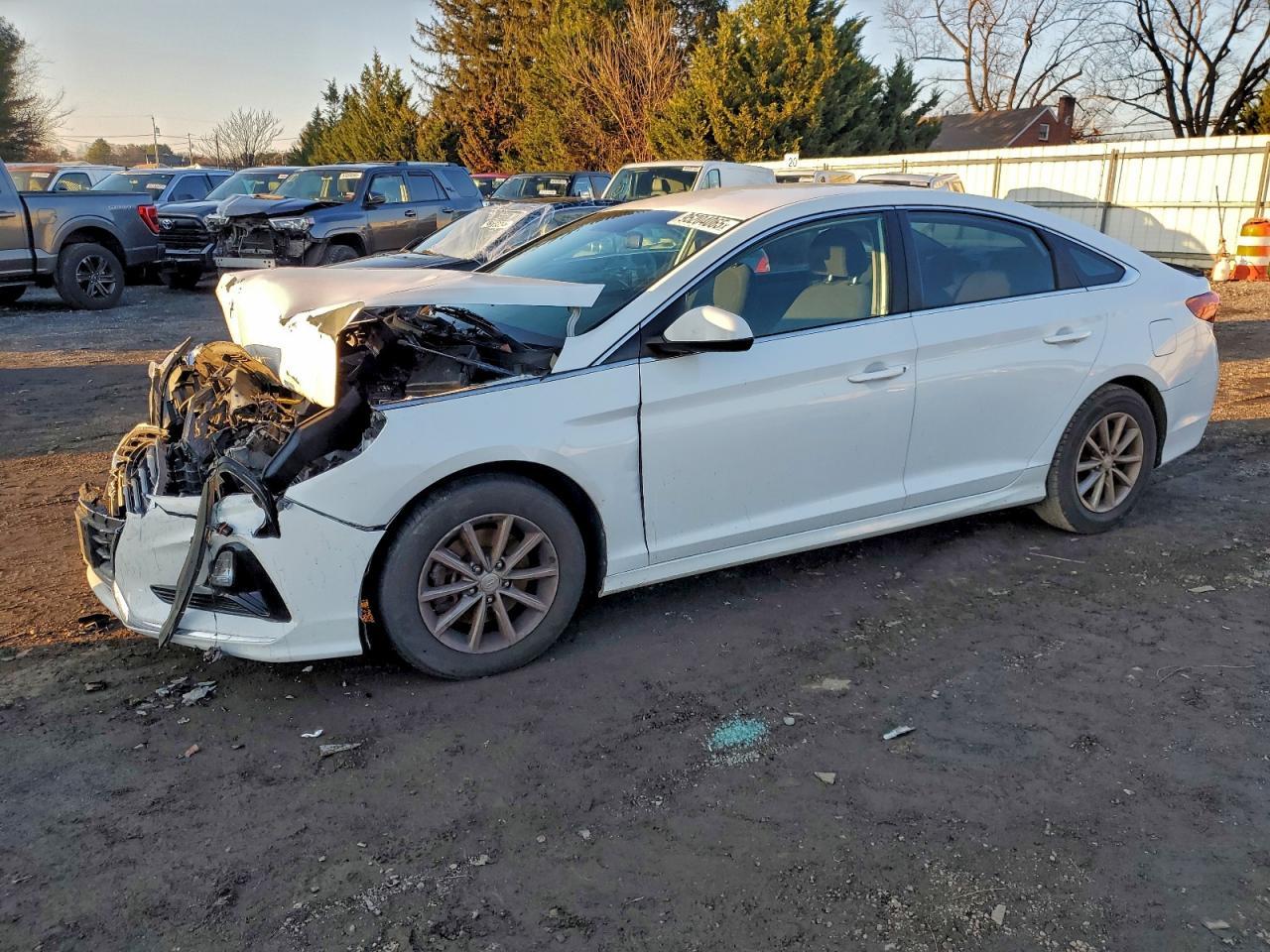 2019 Hyundai Sonata Se
