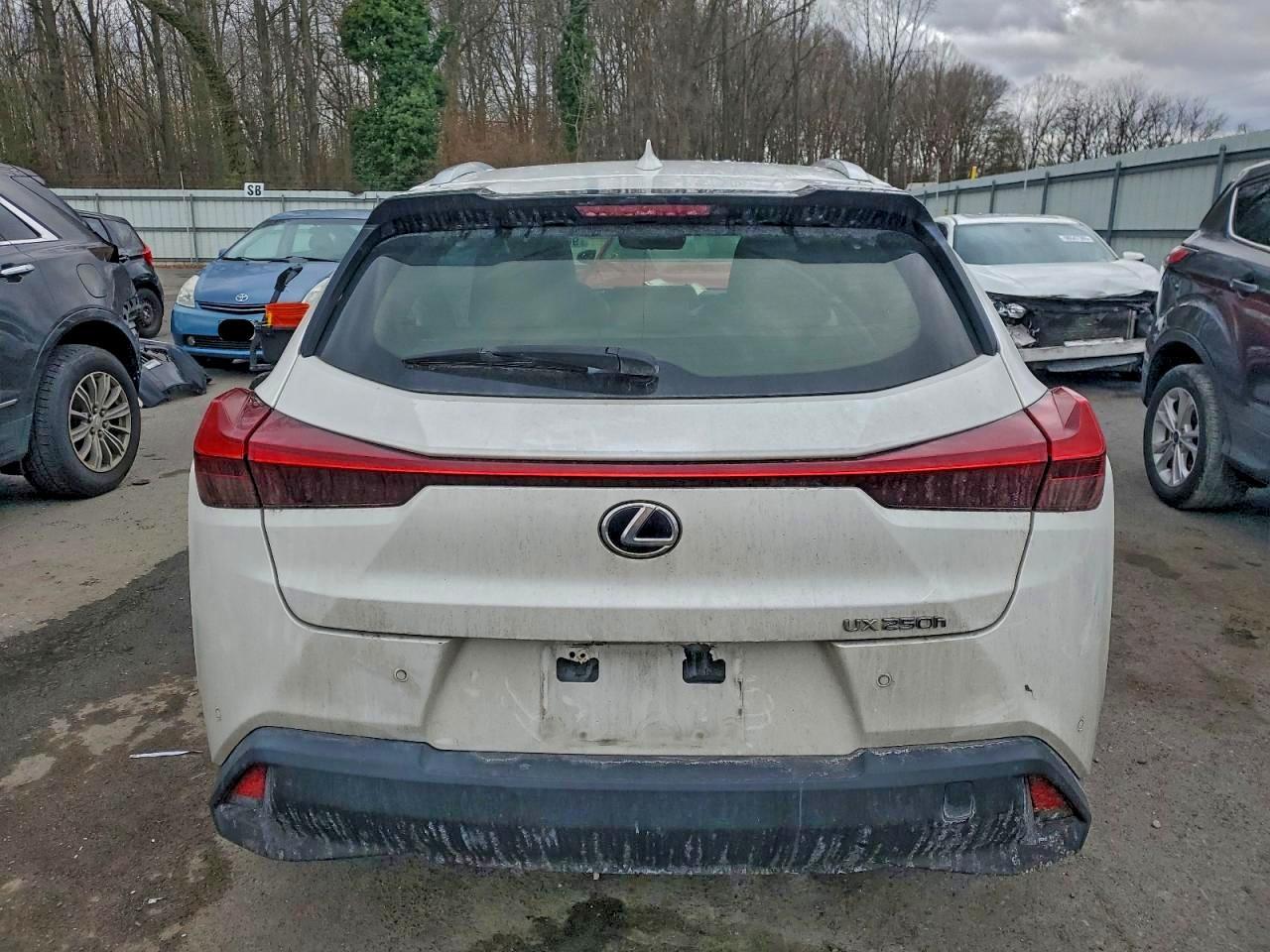 2019 Lexus Ux 250H - Фото 6