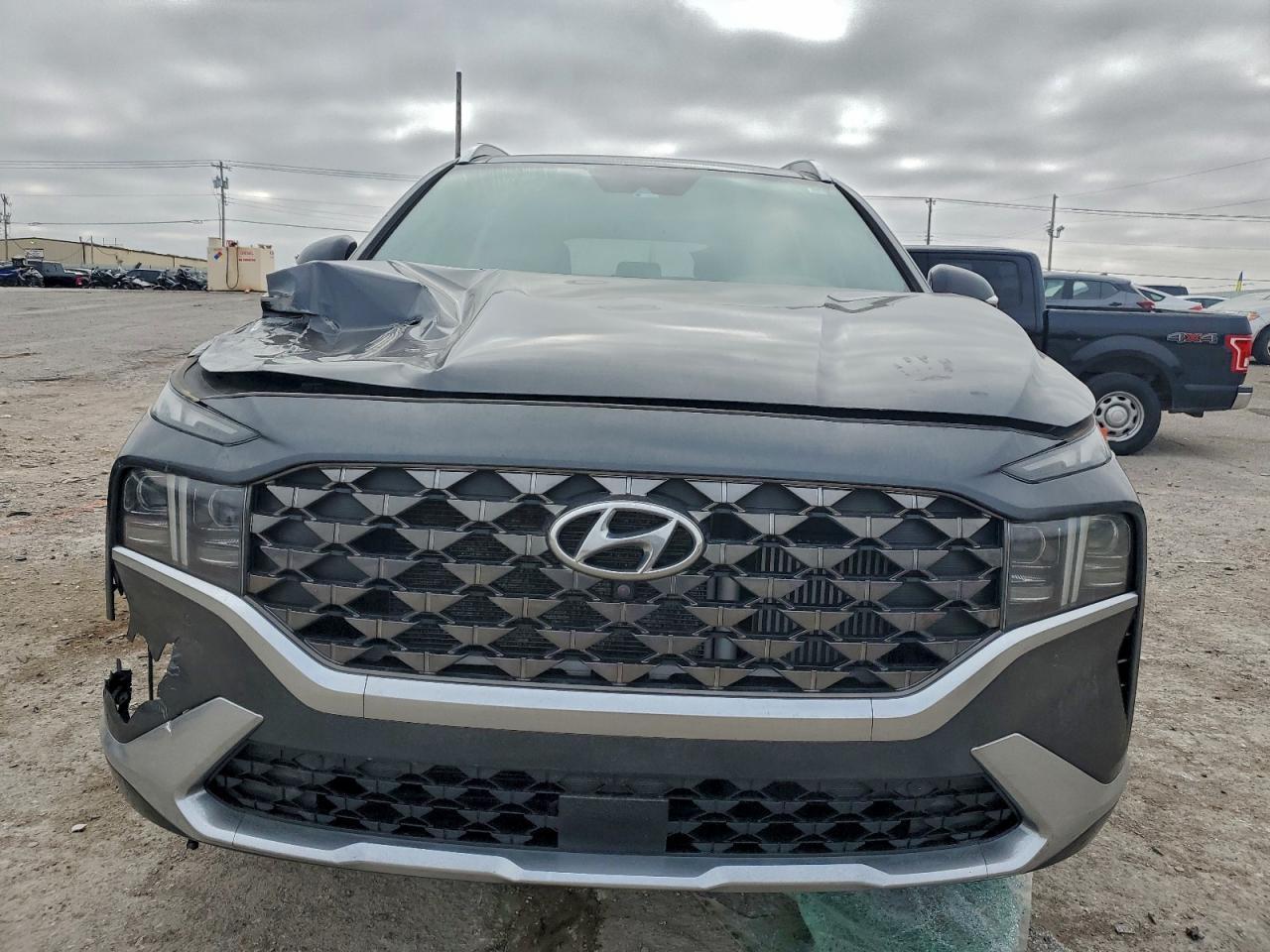 2021 Hyundai Santa Fe Calligraphy - Фото 5