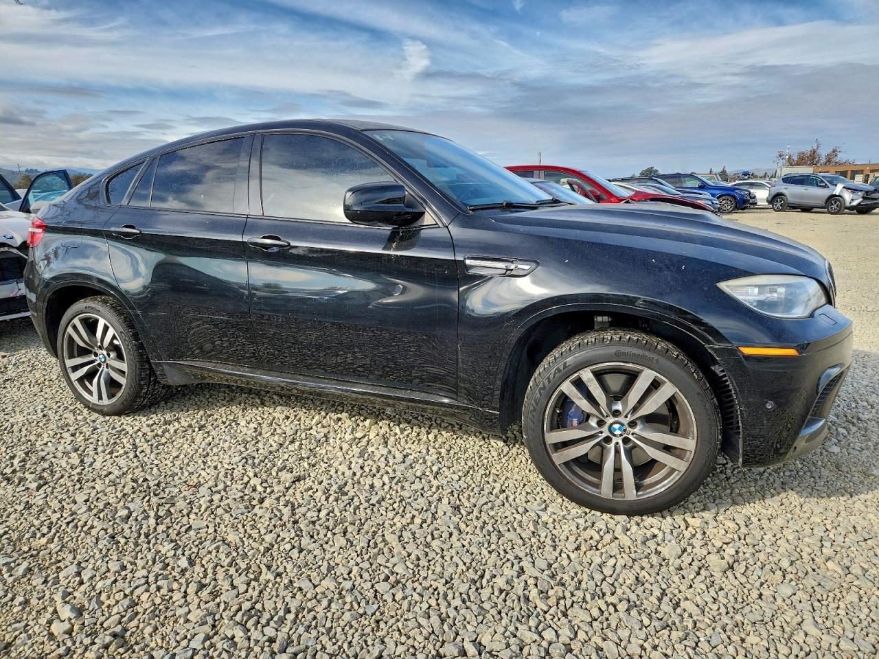 2014 BMW X6 M - Фото 4