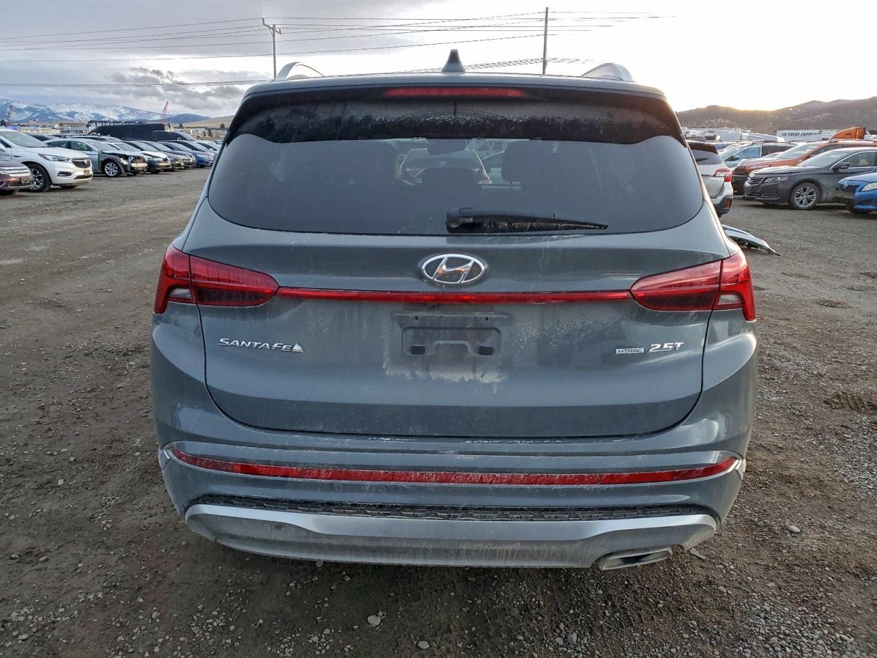 2022 Hyundai Santa Fe Calligraphy - Фото 6