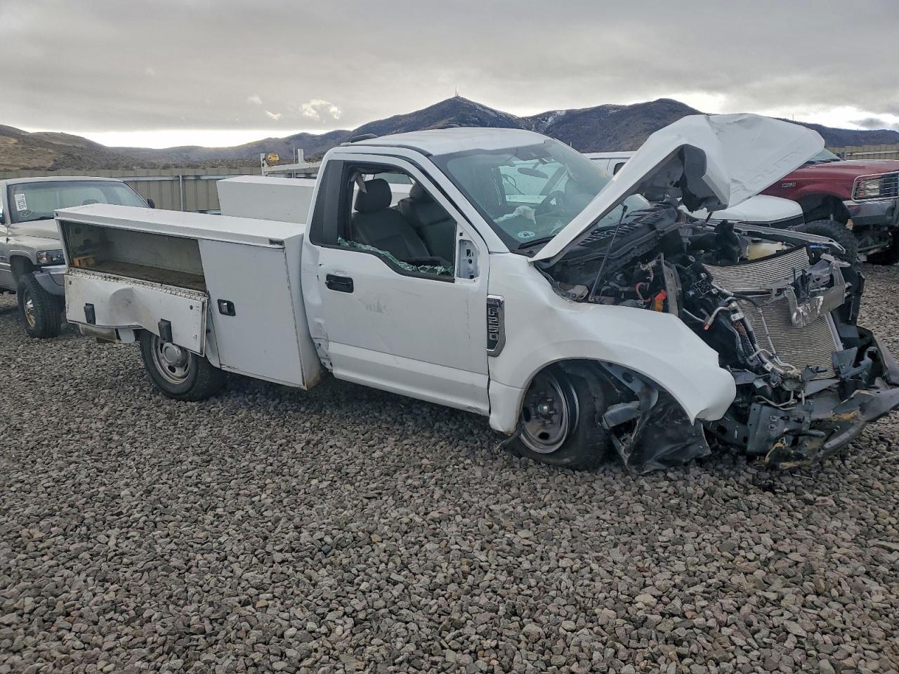 2022 Ford F250 Sd 2Wd V8 Ffv Reg Cab 6.2L Xl Utility / Service Body - Image 4
